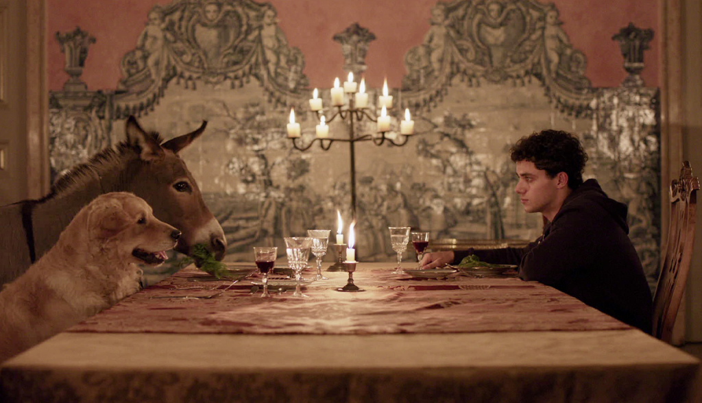 Soirée projection de « L’Arbre de la connaissance » d’Eugène Green